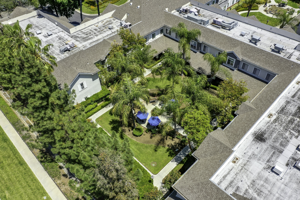 Overhead View